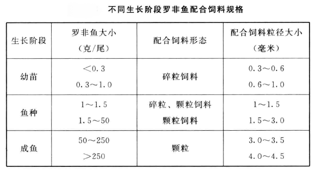 饲料投喂罗非鱼技术