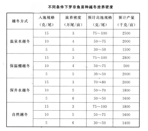 罗非鱼越冬苗培育方法