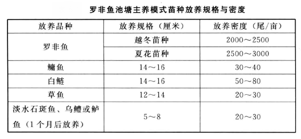 罗非鱼主养与混养法