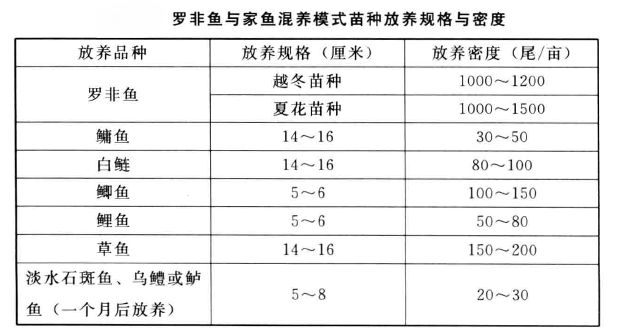 罗非鱼主养与混养法